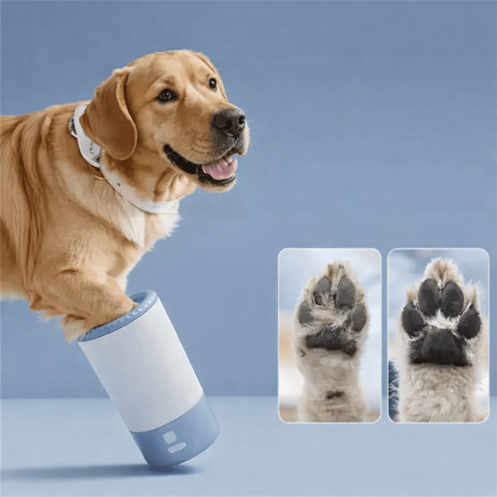 TisztaTappancs - TisztaTappancs